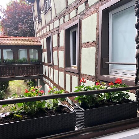 Quai Des Pecheurs - Vue Cathedrale Apartment Strasbourg Bagian luar foto